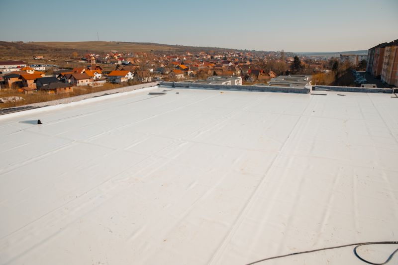 Products For Roof Leak Patchings in use
